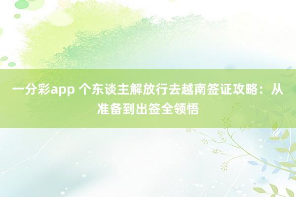 一分彩app 个东谈主解放行去越南签证攻略：从准备到出签全领悟