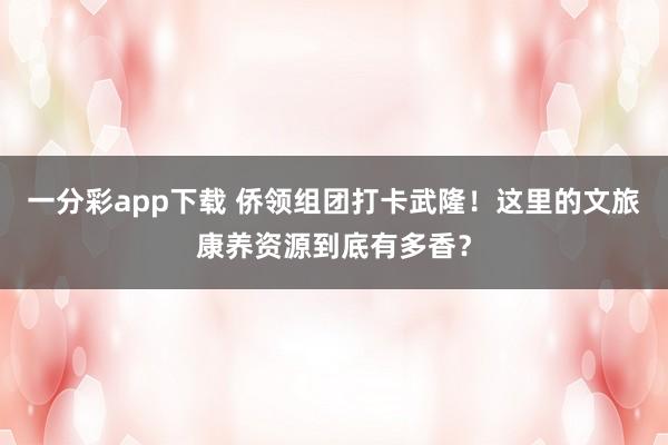 一分彩app下载 侨领组团打卡武隆！这里的文旅康养资源到底有多香？
